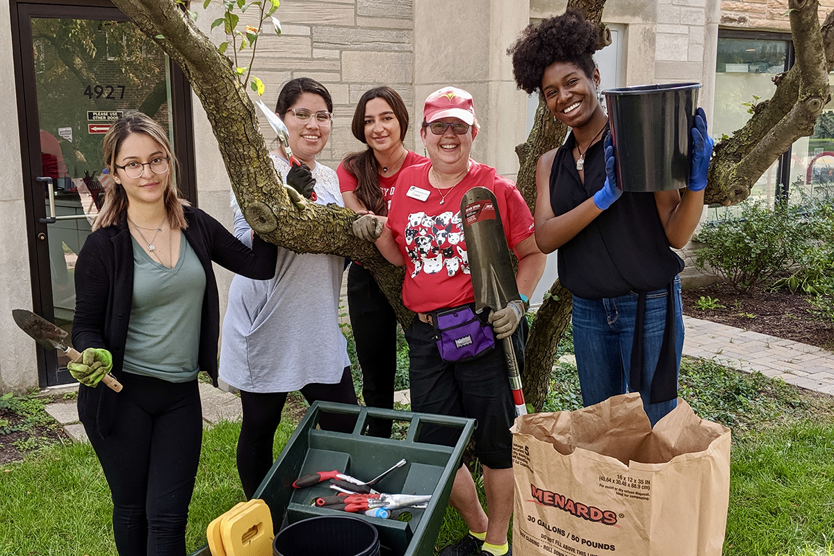 Interns Volunteering 2019